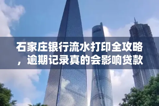 石家庄银行流水打印全攻略,逾期记录真的会影响贷款吗?