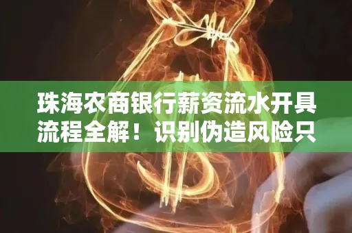 珠海农商银行薪资流水开具流程全解!识别伪造风险只需这几个技巧