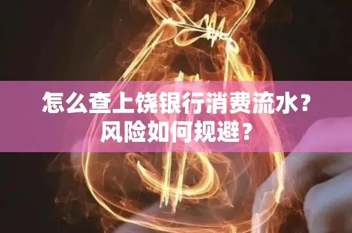 怎么查上饶银行消费流水?风险如何规避?