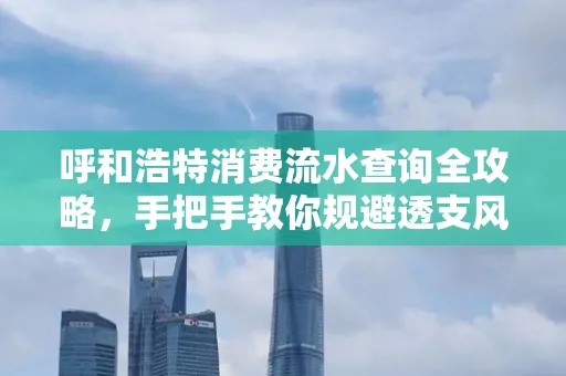 呼和浩特消费流水查询全攻略，手把手教你规避透支风险