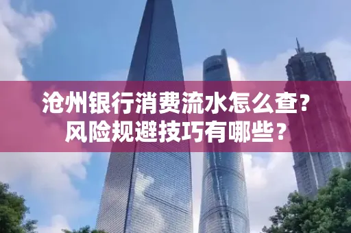 沧州银行消费流水怎么查?风险规避技巧有哪些?