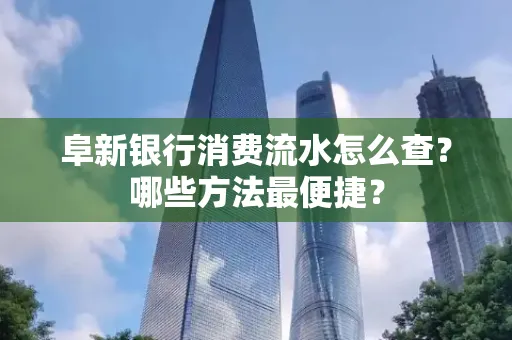 阜新银行消费流水怎么查?哪些方法最便捷?