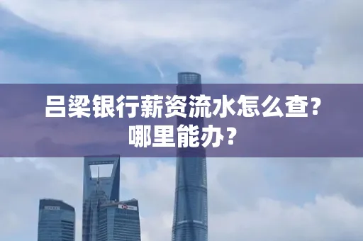吕梁银行薪资流水怎么查?哪里能办?