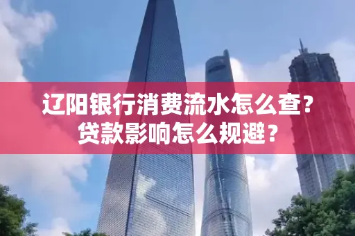 辽阳银行消费流水怎么查?贷款影响怎么规避?