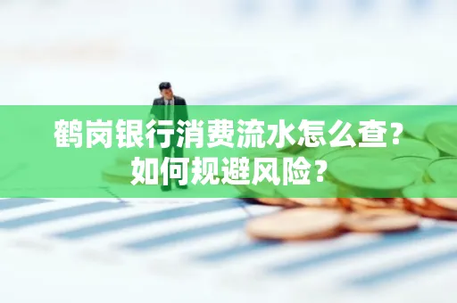 鹤岗银行消费流水怎么查?如何规避风险?
