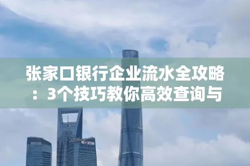 张家口银行企业流水全攻略:3个技巧教你高效查询与风险规避