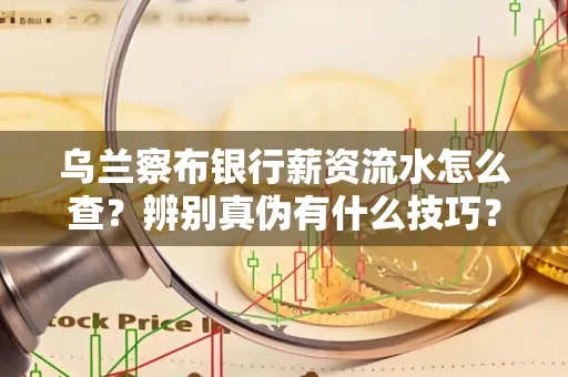 乌兰察布银行薪资流水怎么查?辨别真伪有什么技巧?