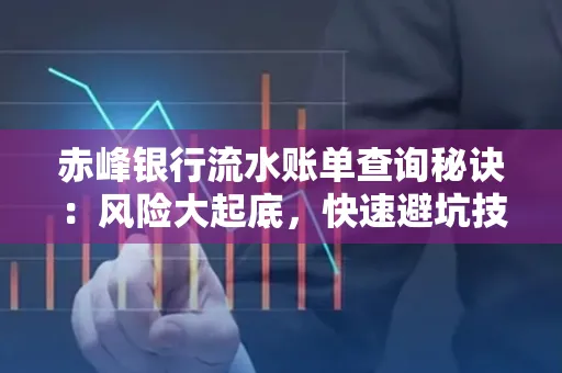 赤峰银行流水账单查询秘诀：风险大起底，快速避坑技巧大公开！