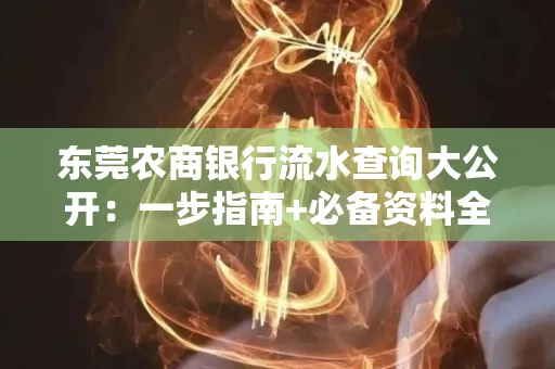 东莞农商银行流水查询大公开：一步指南+必备资料全解读