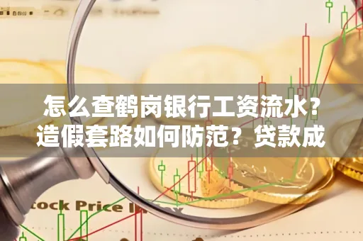 怎么查鹤岗银行工资流水？造假套路如何防范？贷款成功率翻倍攻略