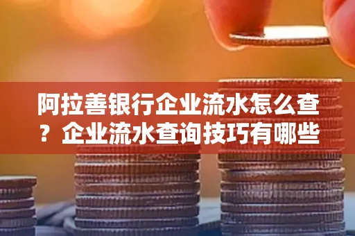 阿拉善银行企业流水怎么查？企业流水查询技巧有哪些？