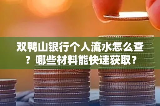 双鸭山银行个人流水怎么查？哪些材料能快速获取？