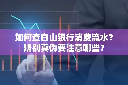 如何查白山银行消费流水？辨别真伪要注意哪些？