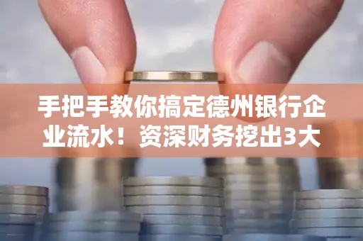 手把手教你搞定德州银行企业流水!资深财务挖出3大隐藏风险点