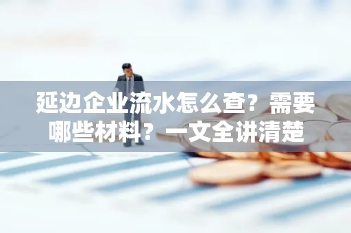 延边企业流水怎么查?需要哪些材料?一文全讲清楚