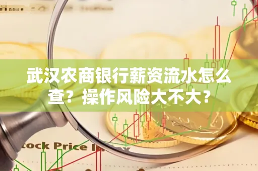 武汉农商银行薪资流水怎么查？操作风险大不大？